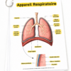 Kit Fiches d’Anatomie auxiliaire de puériculture
