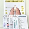 Pack Mémo Tout-en-Un pour auxiliaires de puériculture : fiches plastifiées de poche et schémas d’anatomie avec feutre effaçable.