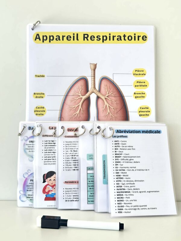Pack Mémo Tout-en-Un pour auxiliaires de puériculture : fiches plastifiées de poche et schémas d’anatomie avec feutre effaçable.