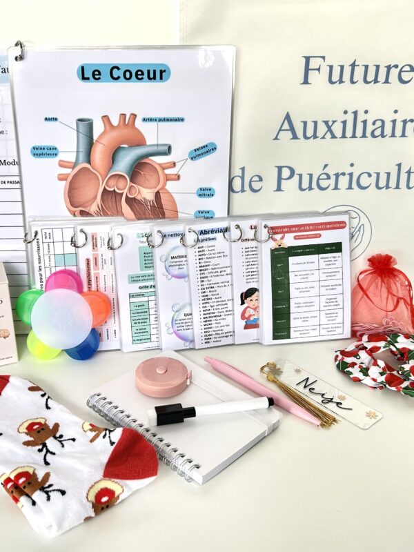 Box de Noël auxiliaire de puériculture avec fiches de révision, mémos poche, jeu Mission AP, accessoires et goodies festifs, présentés avec un tote bag Future AP.